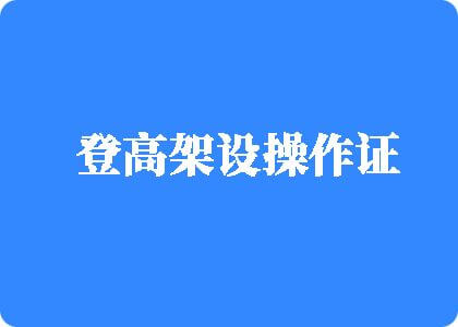 含奶日逼网站登高架设操作证