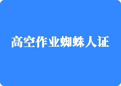 女口大鸡巴免费看高空作业蜘蛛人证